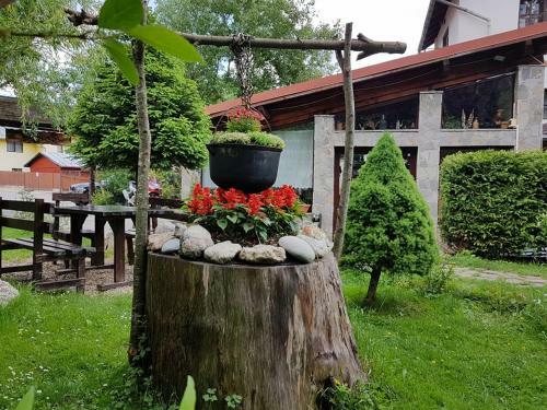 Hostal Pensiunea Liziera