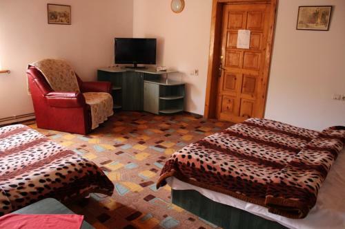 Hostal Pension Roni