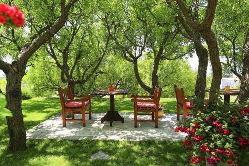 Apartamentos Guest House Savonari