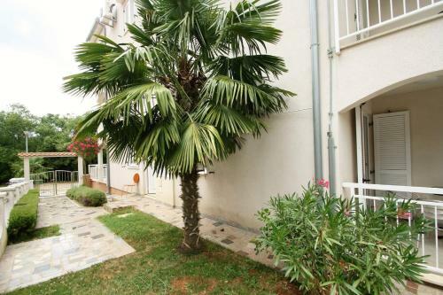 Hostal Apartments Turkanovic