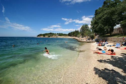 Hostal Apartments Turkanovic