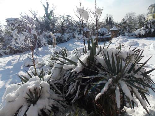 Apartments Josip