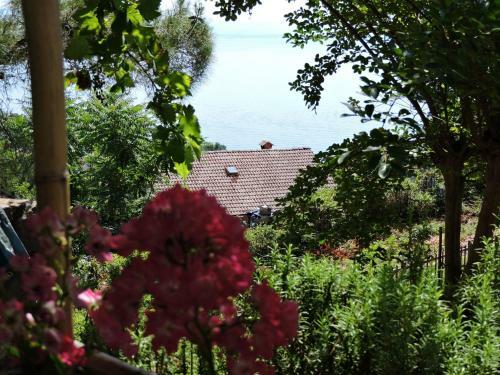 Apartment Vesna