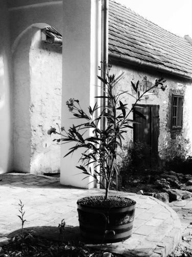 Hostal �gk?ris Vend�gh�z