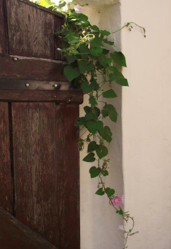 Hostal �gk?ris Vend�gh�z