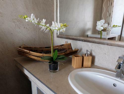 Bed & Breakfast Malom Club Panzi�