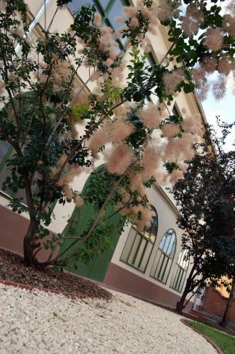 Apartamento Ciszterci H�z Baja