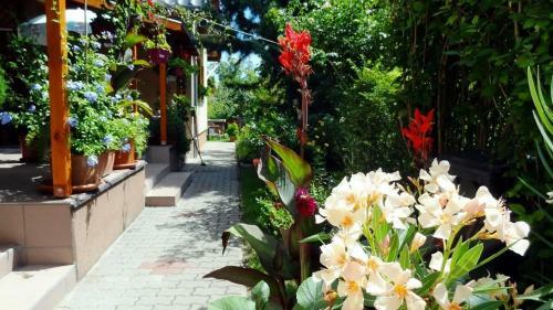Apartment In Balatongy�r�k 35402