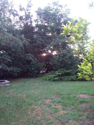 Apartamento Liza Vend�gh�z