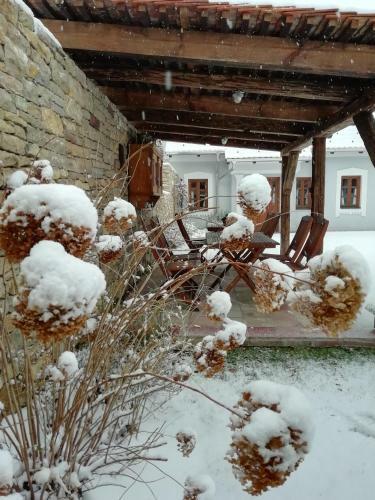 Bed & Breakfast Ar�csi Vend�gh�z