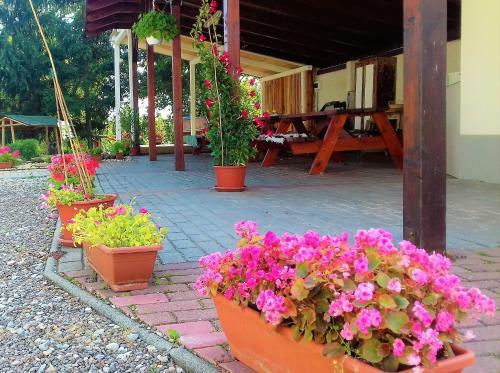 Hostal Krist�ly Vend�gh�z