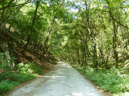 Bed & Breakfast Alab�strom Panzi� �s �tterem