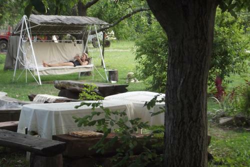 Bed & Breakfast Alab�strom Panzi� �s �tterem