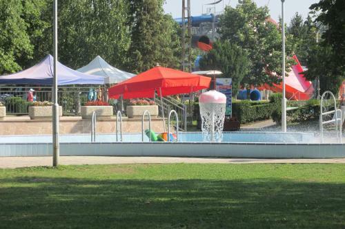 Patak-party Apartmanok