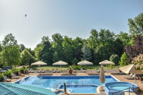 Therm�l Hotel Szivek