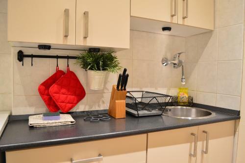 Apartment Akademia