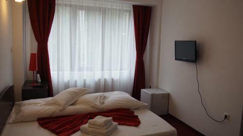 Hostal Pensiunea Clasic