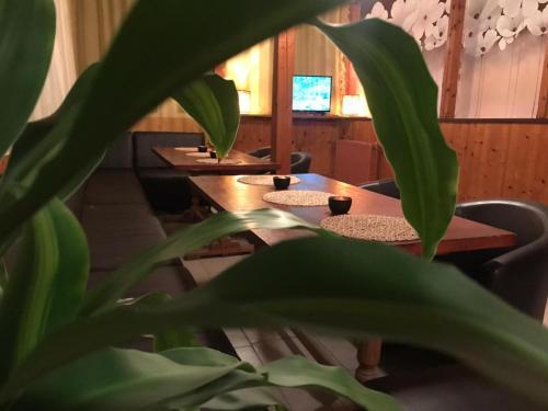 Hostal Vila Danlavi