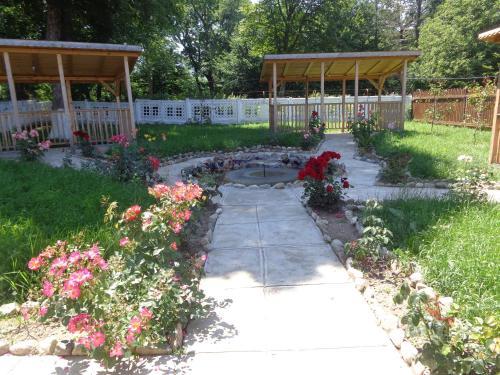 Hostal Pensiunea Radu