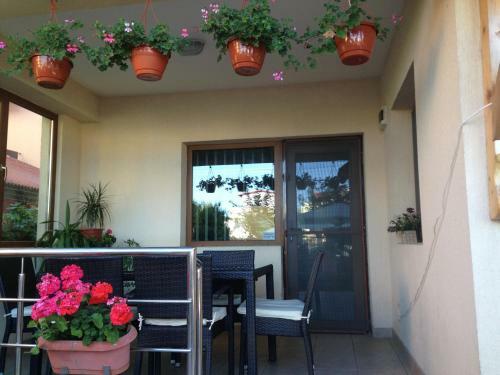 Hostal Pensiunea Casa Firu