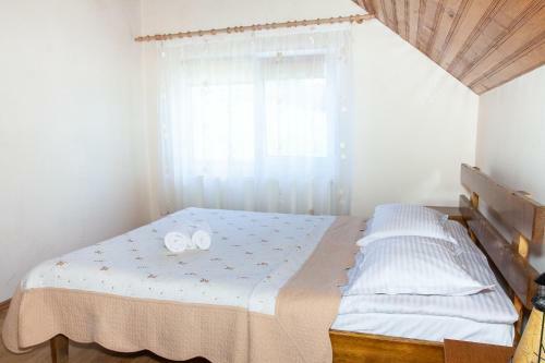 Hostal Rustic Argesean