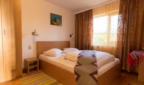 Hostal Pensiunea Colt De Munte
