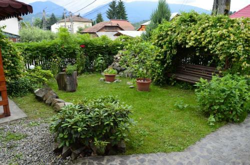 Hostal Pensiunea Colt De Munte