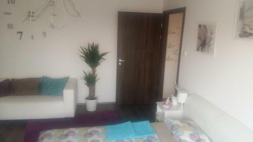 R�na Apartman