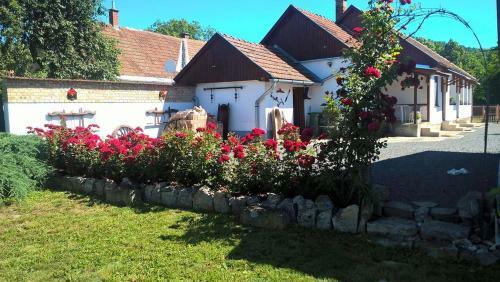 Hostal Kazsim�r Vend�gh�z