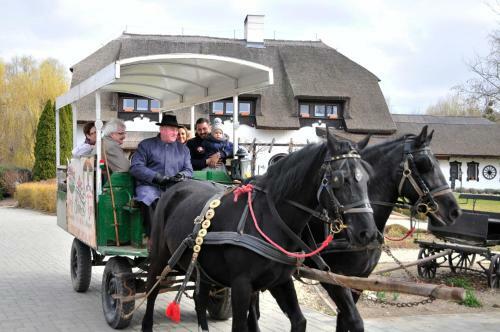 Bed & Breakfast S�ri Cs�rda Panzi�