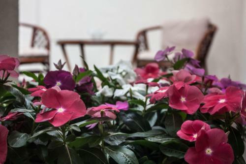 Bed & Breakfast Melior Sz�ll�