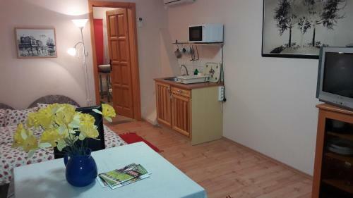 V�csey Apartman