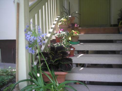 Hostal Irisz Vend�gh�z