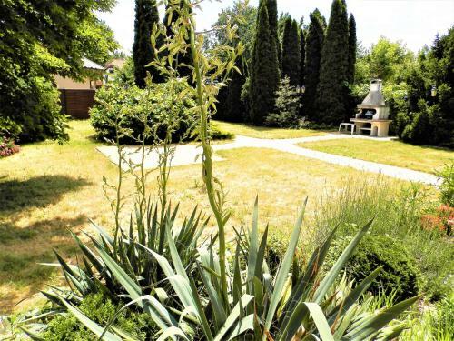Bed & Breakfast Nagyr�t Panzi� Eger