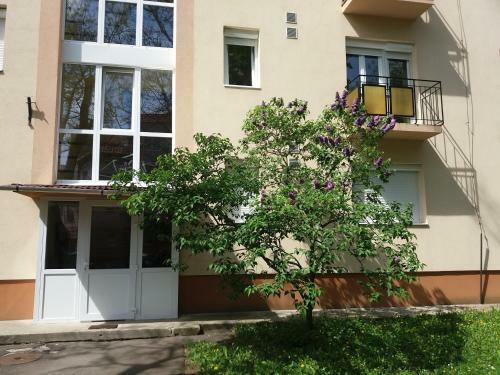 Like Apartman