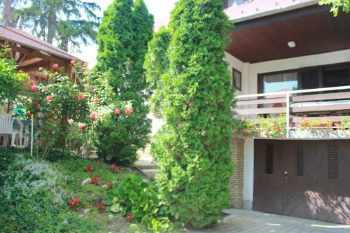 Apartamento Ilona Studio