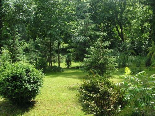 Hostal Park Panzi� �s �tterem