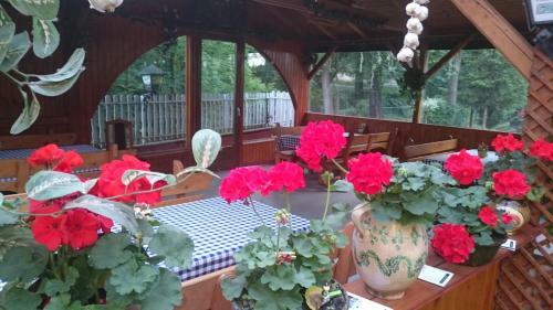 Hostal Park Panzi� �s �tterem