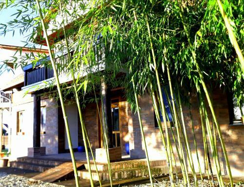 Hostal Owlcastle-bagolyv�r