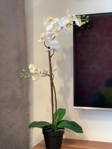 Apartamento Villa Mona Lisa