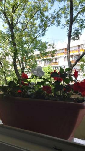 Csipke Apartman