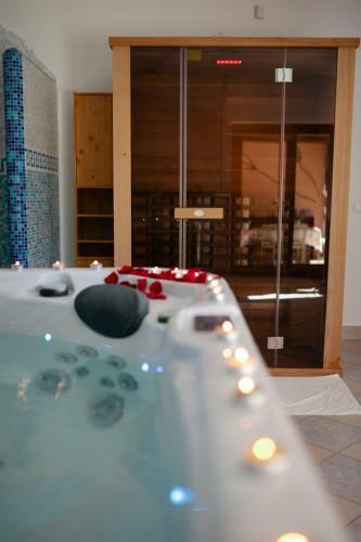 Ludo Apartman Hotel & Spa