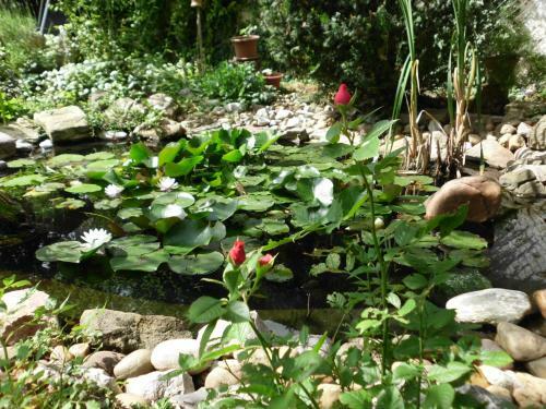 R�zsa Apartman