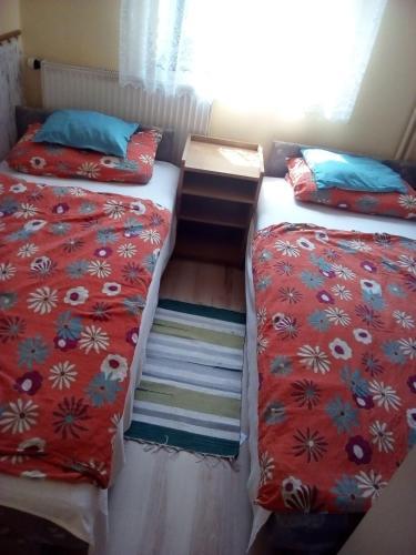 Napraforg� Vend�gh�z