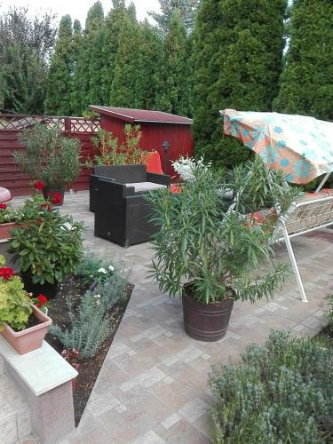 Hostal Bokreta Udulohaz
