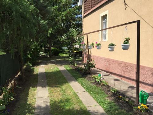 Levendula H�z