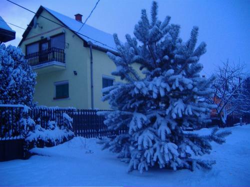Hostal Elizabeth Vend�gh�z