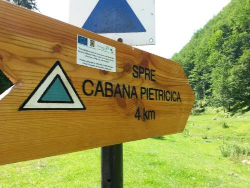Cabana Pietricica