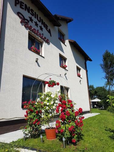 Hostal Pensiunea Beatrice
