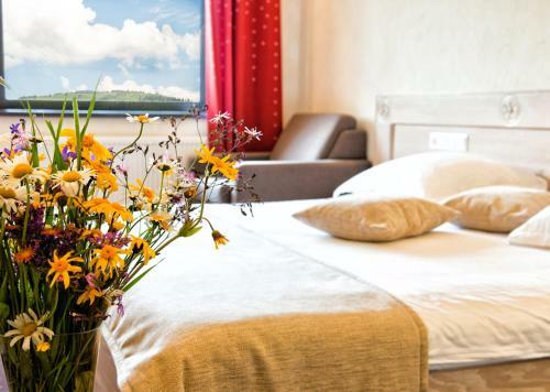 Hotel Domeniul Dornei
